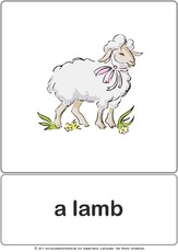 Bildkarte - lamb.pdf